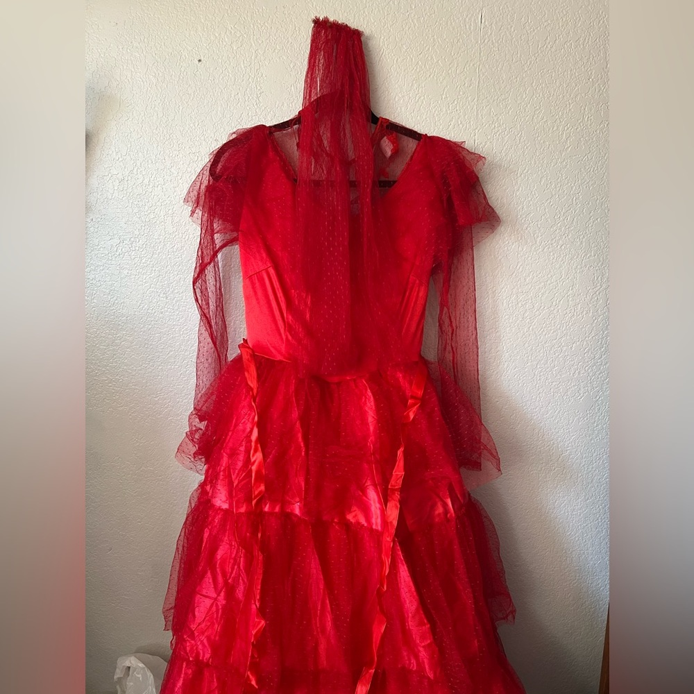 Beetlejuice - Lydia Costume